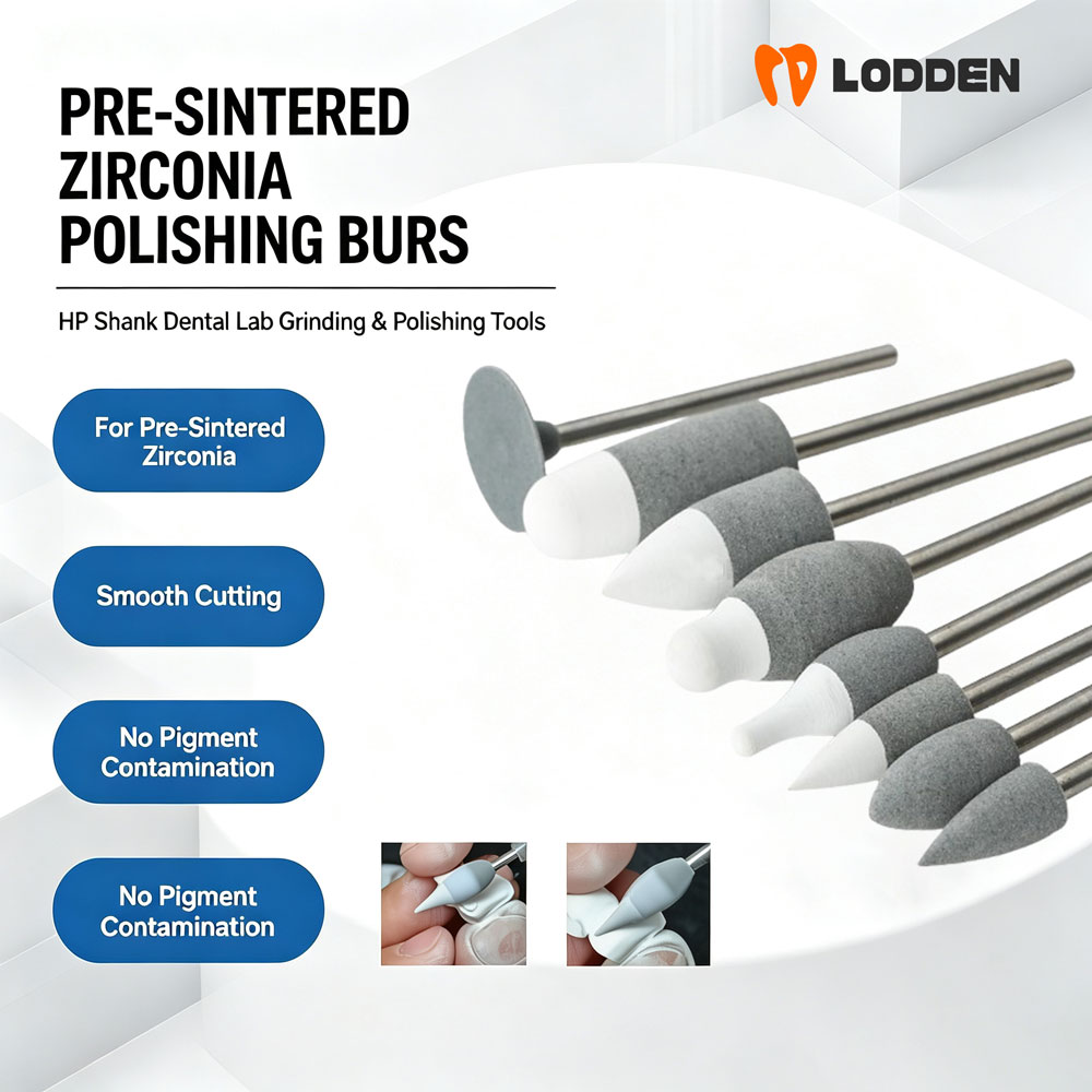 LODDEN 10pcs Pre-Sinered Zirco - đánh giá và giá Ink Cartridge