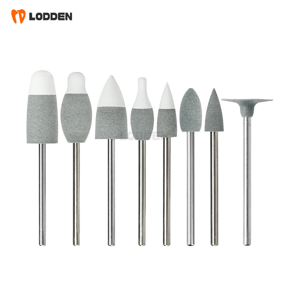 LODDEN 10pcs Pre-Sinered Zirco - đánh giá và giá Ink Cartridge